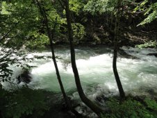 thurweg 05